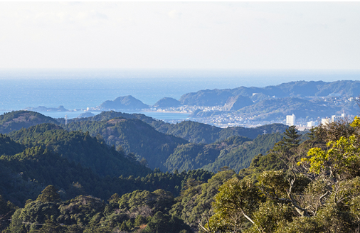 니치렌이 학문을 시작한 세이초산에서 바라본 지바 가모가와시 풍경